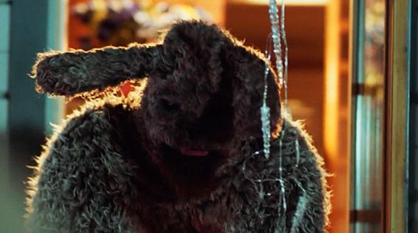 Bunny, La cosa asesina