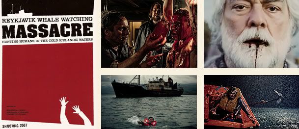 Reykjiavik Whale Watching...