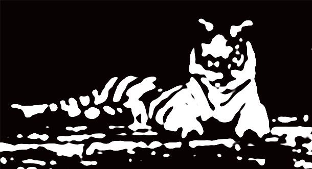 El Hombre que amaba a los Animales