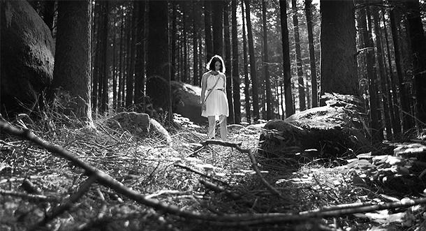 A Floresta das Almas Perdidas