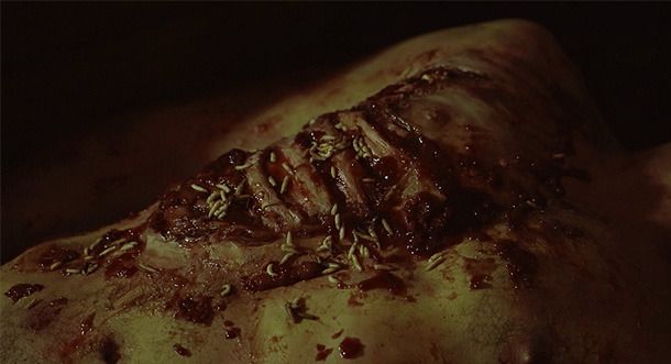 Virus: Extreme Contamination