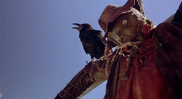 Night of the Scarecrow
