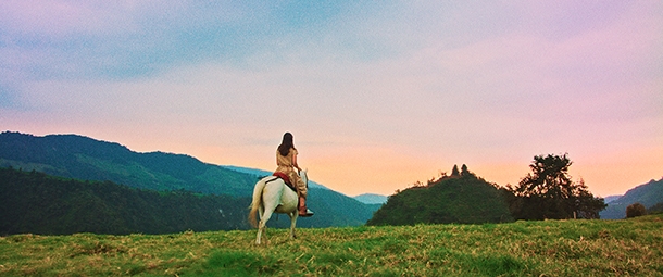 Luz. The flower of evil