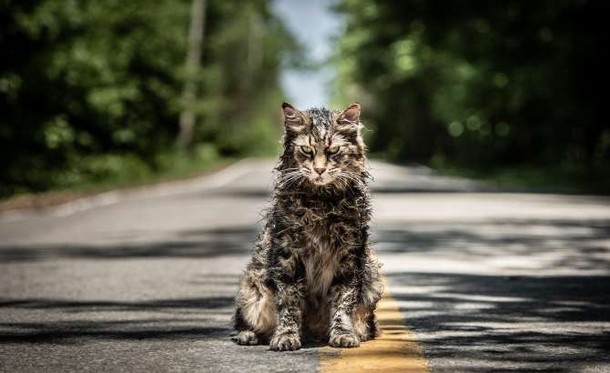 Cementerio de animales